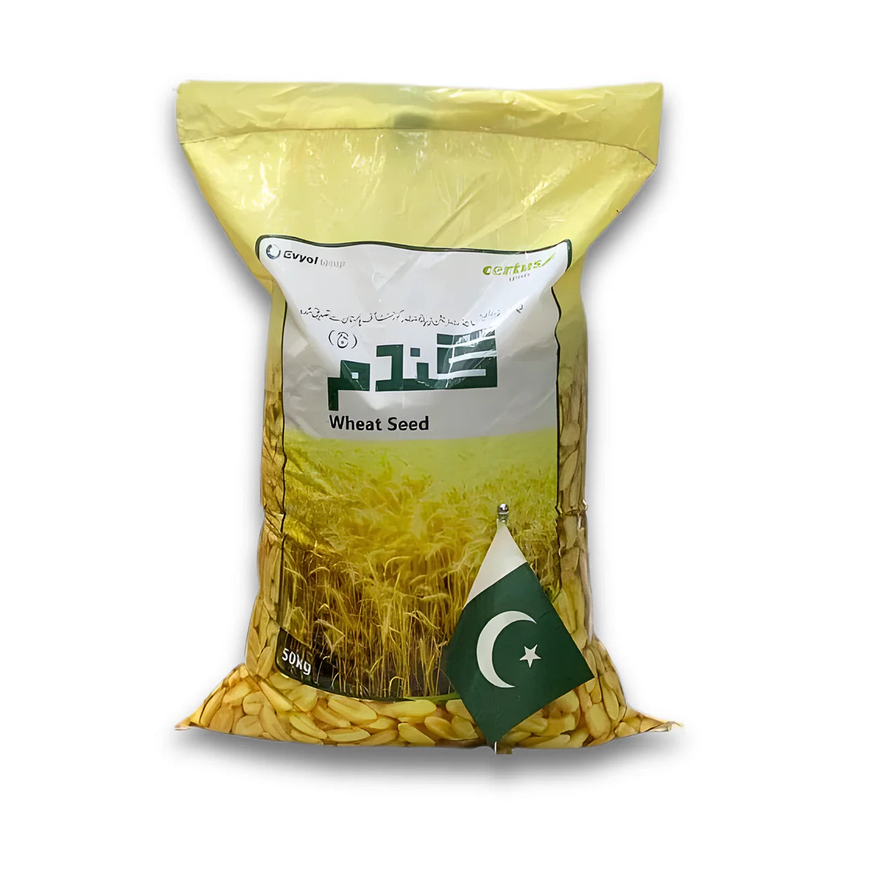 JRS Super Wheat Seeds – Stable Harvests & Reliable Growth| JRS Global (50 KG)